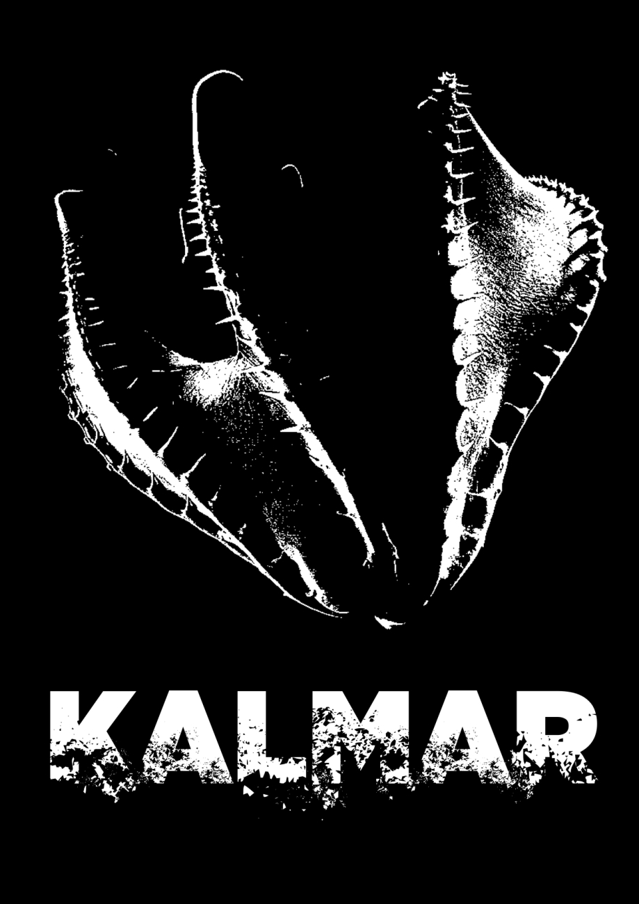 kalmar.jpg